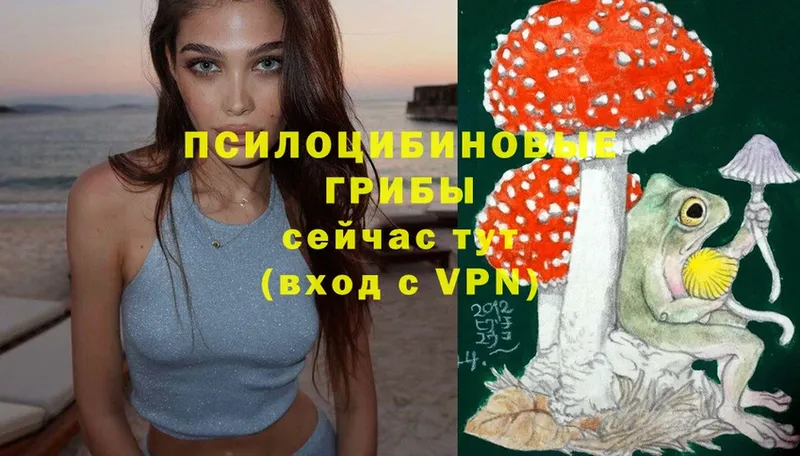 Псилоцибиновые грибы Magic Shrooms  Тимашёвск 